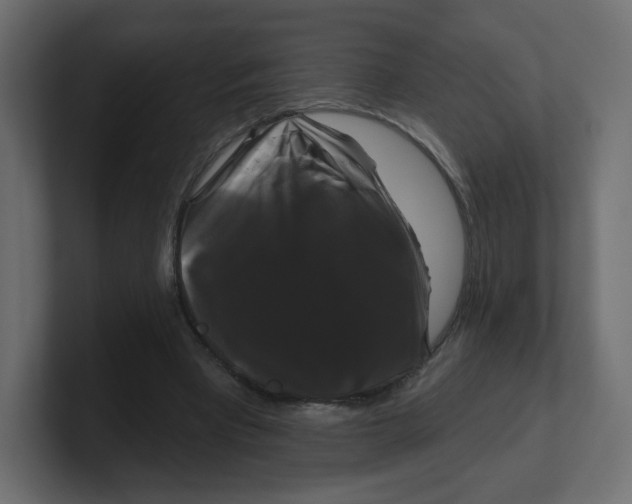 X0000100370393200806271448