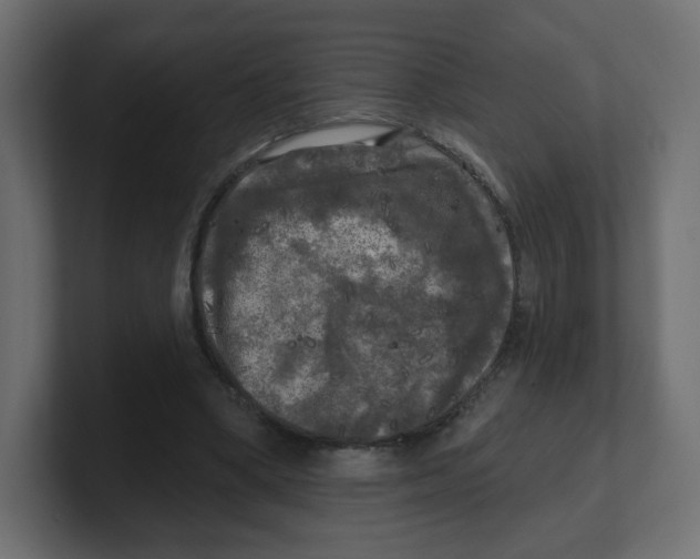 X0000100370394200806271448