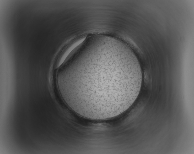 X0000100370396200806271448