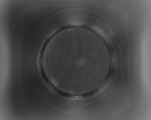 X0000100370398200806271448