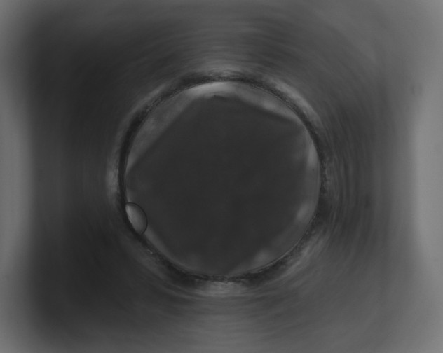 X0000100370399200806271448