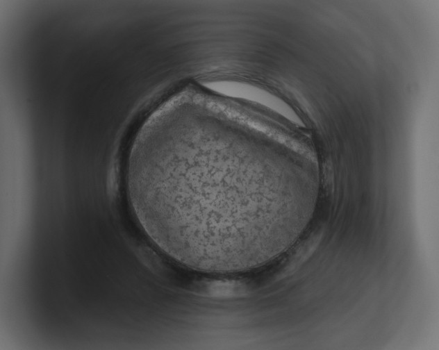 X0000100370400200806271448