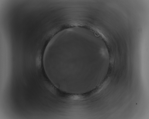 X0000100370402200806271448