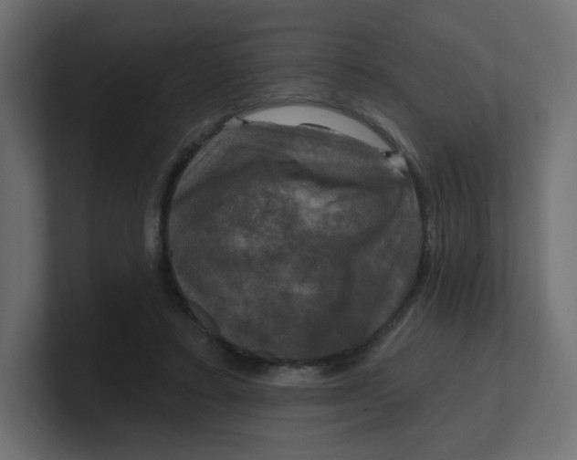 X0000100370403200806271448