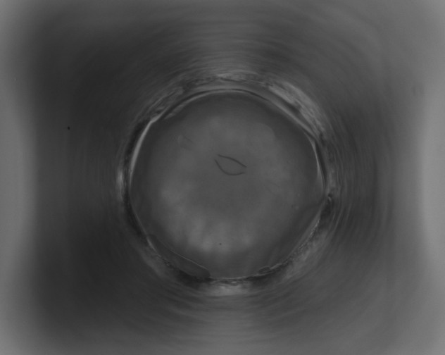 X0000100370405200806271448