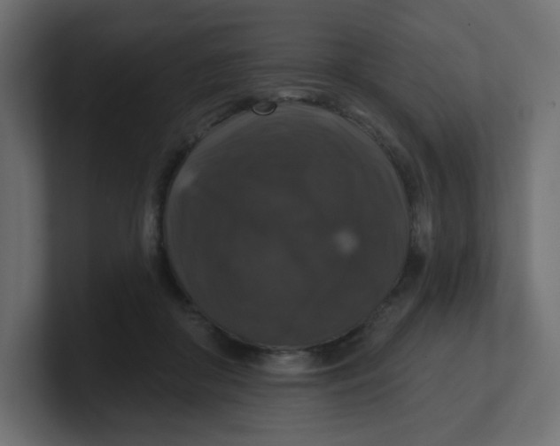 X0000100370410200806271448