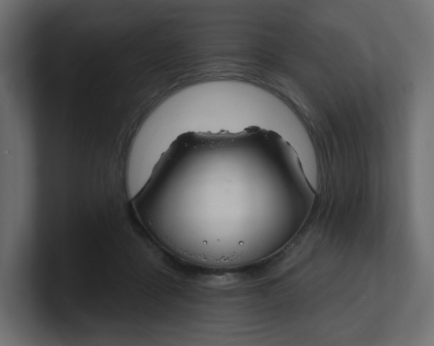 X0000100370411200806271448