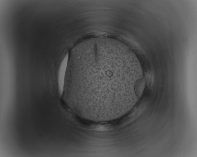 X0000100370412200806271448