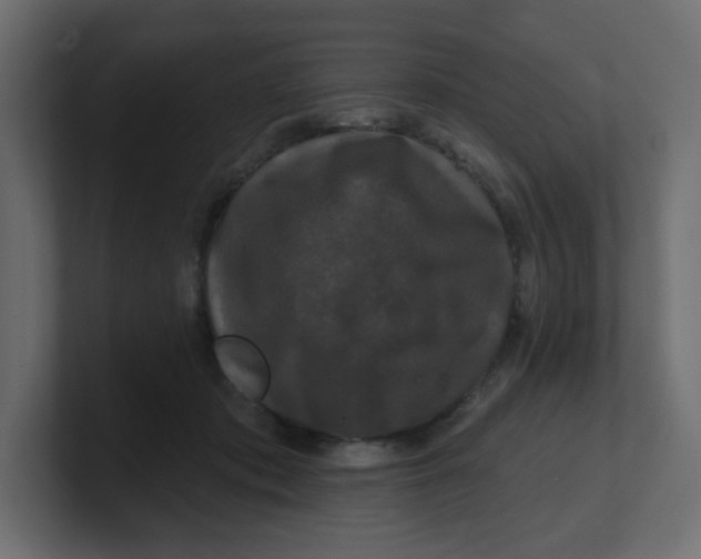 X0000100370413200806271448