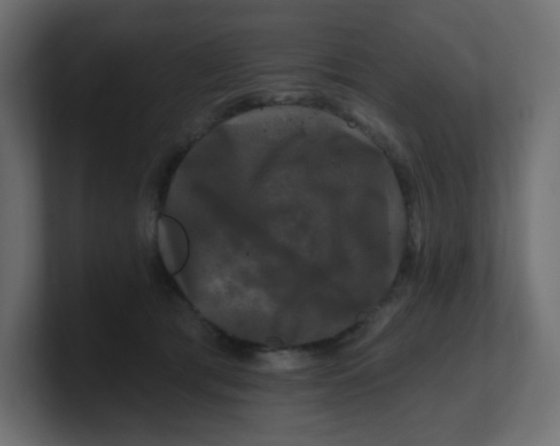 X0000100370417200806271448