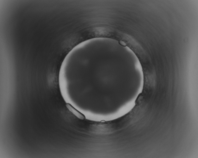 X0000100370419200806271448