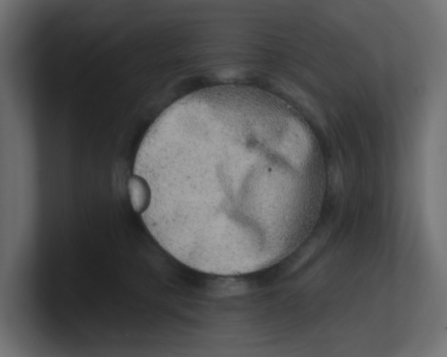 X0000100370421200806271448