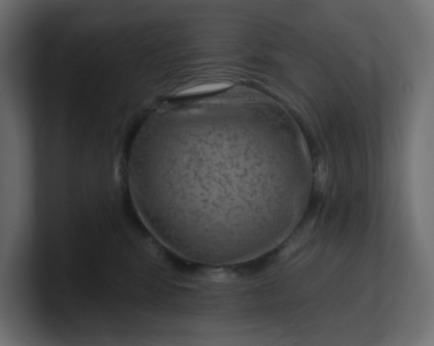 X0000100370424200806271448