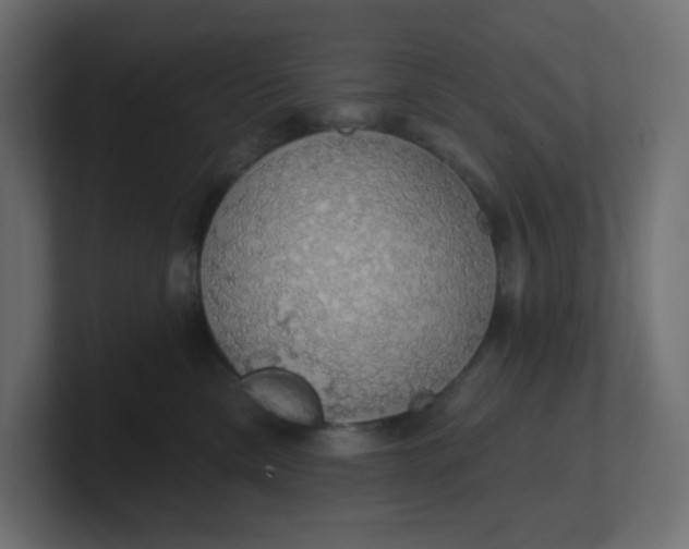 X0000100370425200806271448