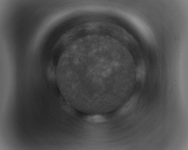 X0000100370431200806271448