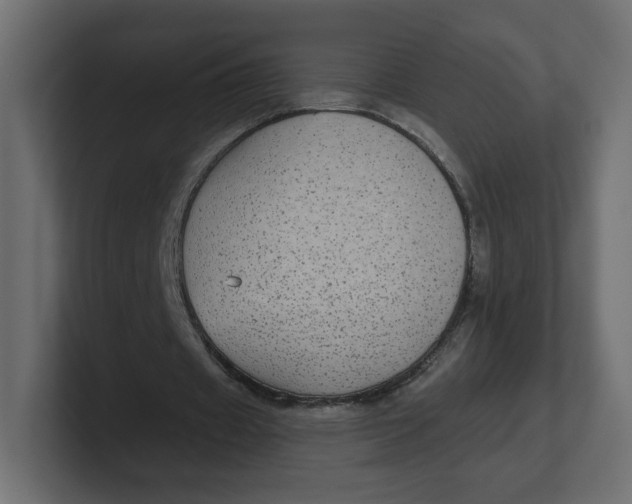 X0000100370433200806271447