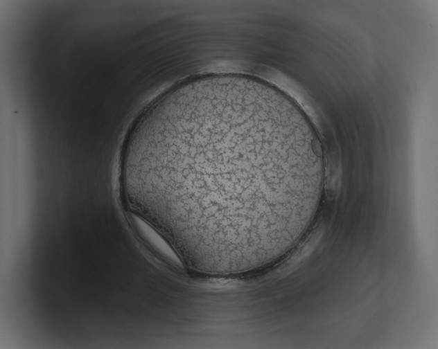 X0000100370437200806271447