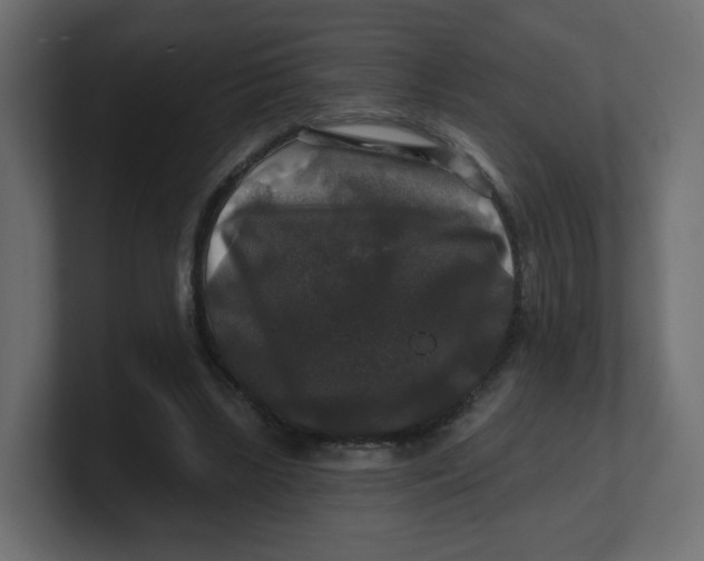 X0000100370443200806271447