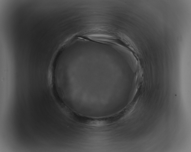 X0000100370444200806271447