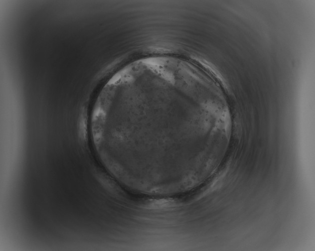 X0000100370446200806271447