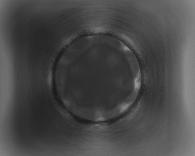 X0000100370447200806271447