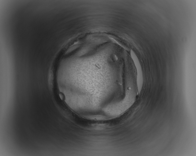 X0000100370448200806271447