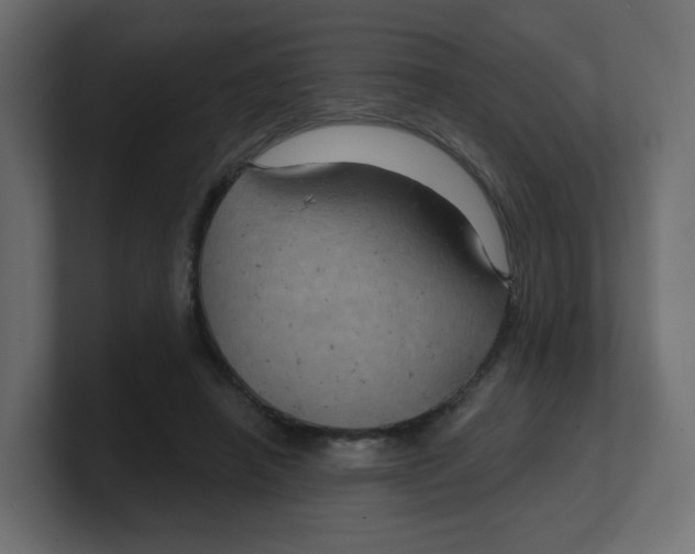 X0000100370450200806271447