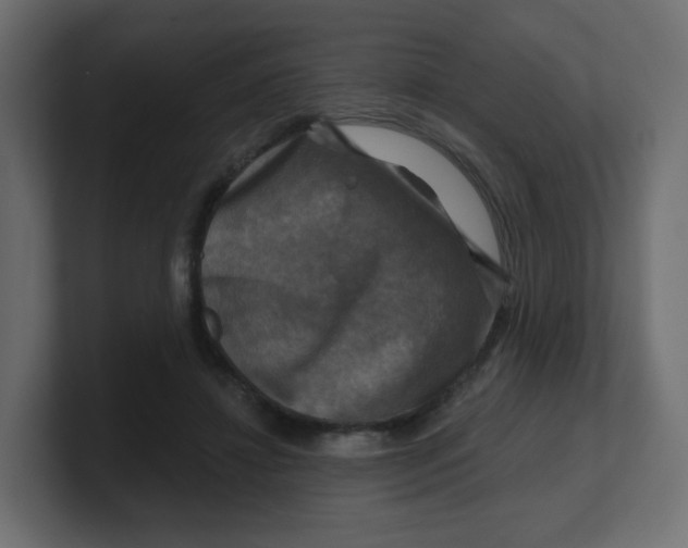 X0000100370452200806271447