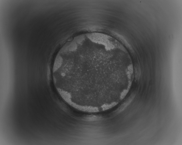 X0000100370453200806271447