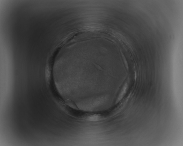 X0000100370456200806271447