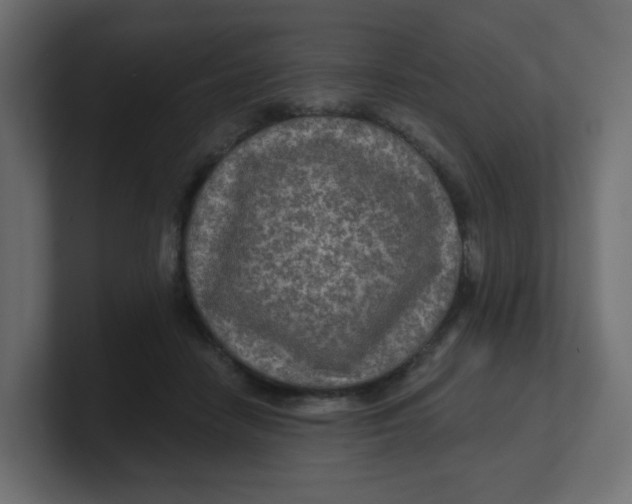 X0000100370458200806271447