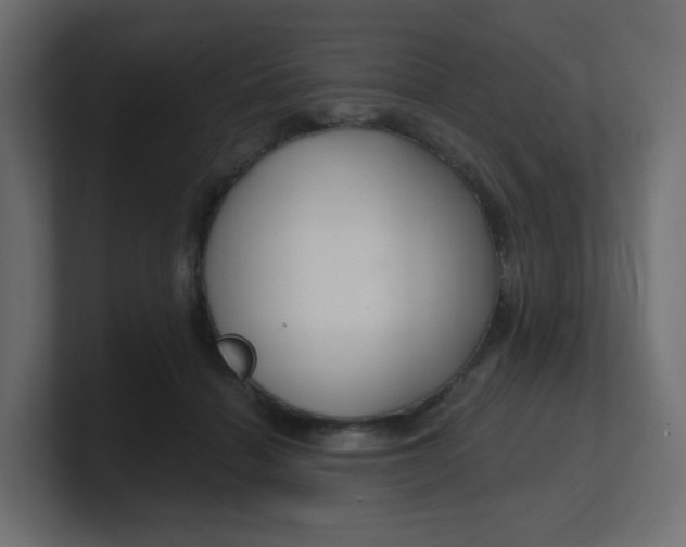 X0000100370460200806271447