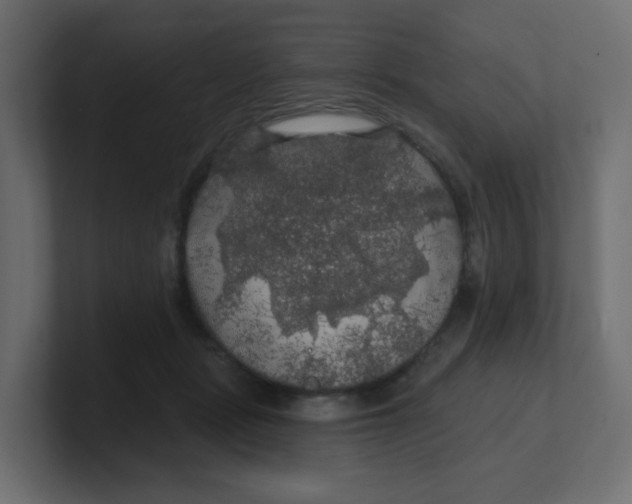 X0000100370461200806271447