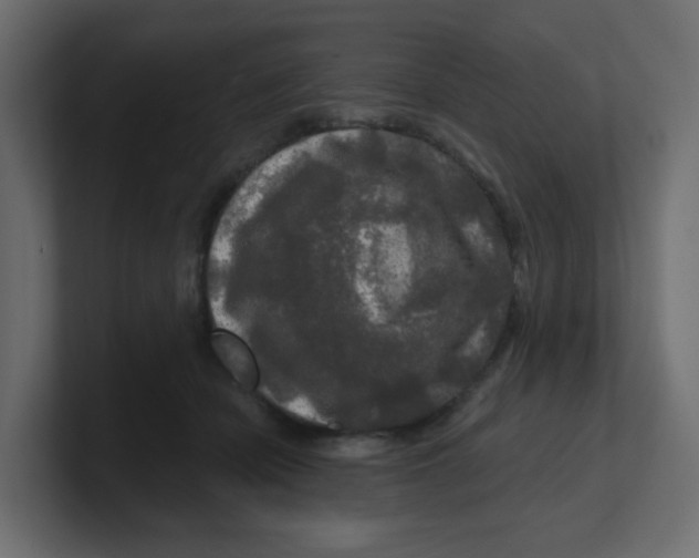 X0000100370462200806271447