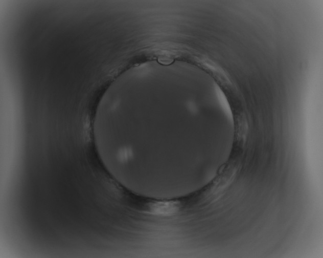 X0000100370465200806271448