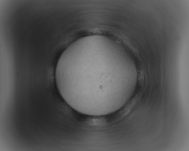 X0000100370466200806271448