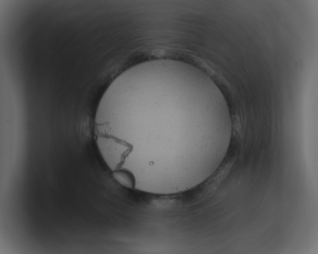 X0000100370470200806271448