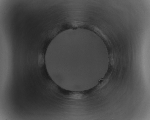 X0000100370471200806271448