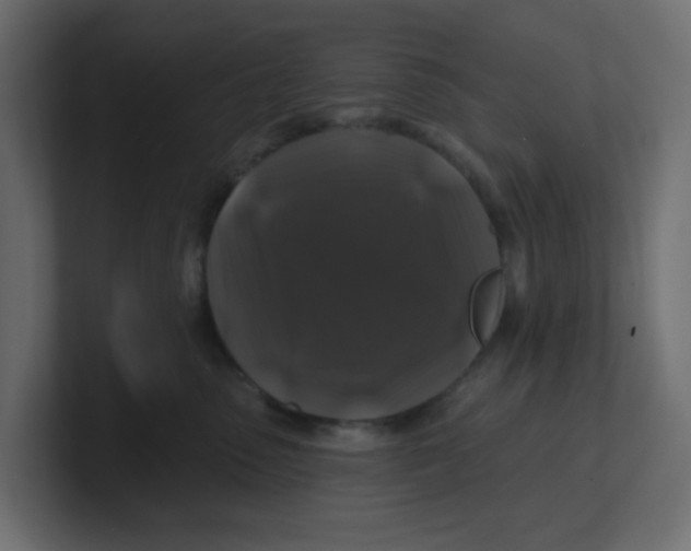 X0000100370475200806271448