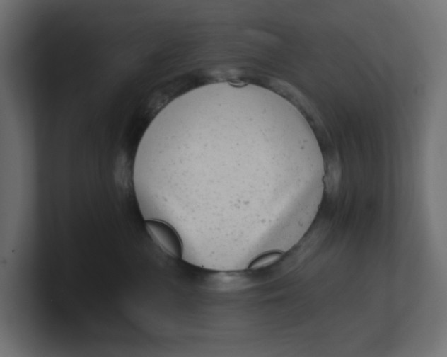 X0000100370477200806271448