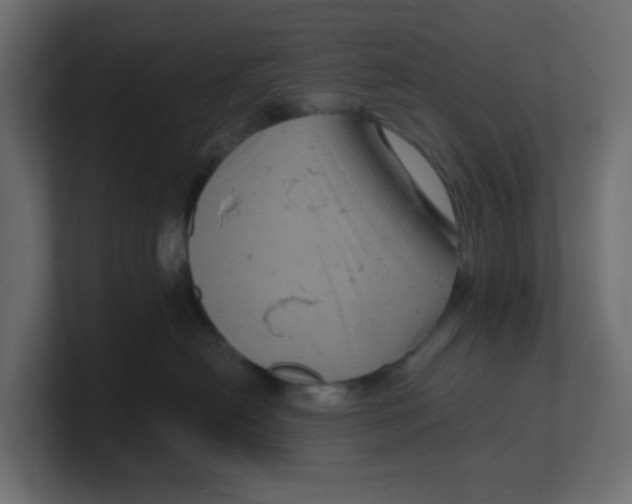 X0000100370478200806271448