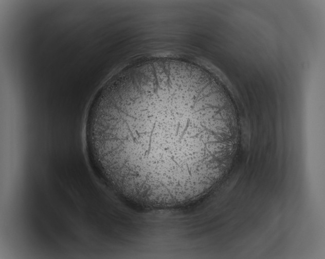 X0000100370482200806271447