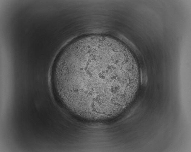 X0000100370483200806271447