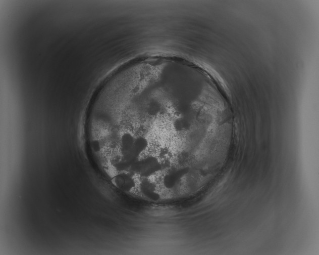 X0000100370487200806271447