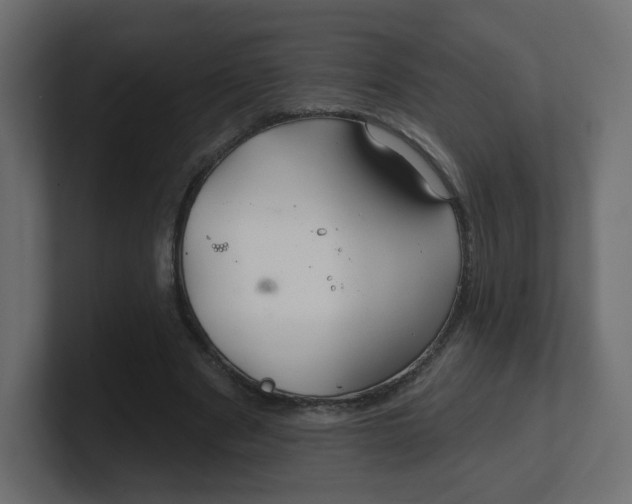 X0000100370489200806271447