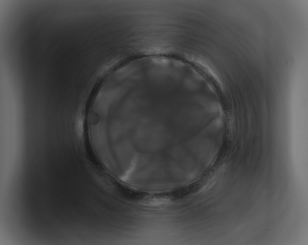 X0000100370491200806271447