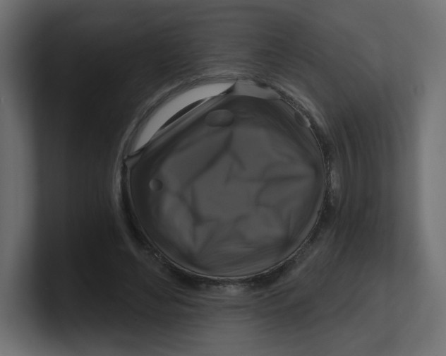 X0000100370492200806271447