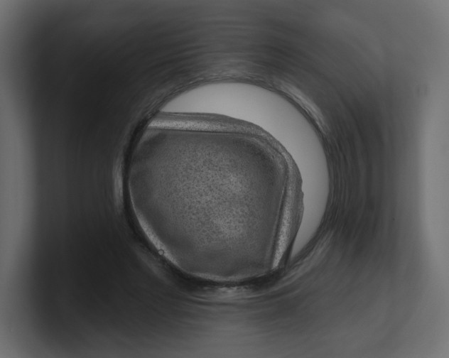 X0000100370493200806271447