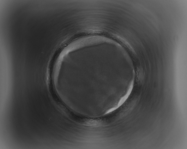 X0000100370494200806271447