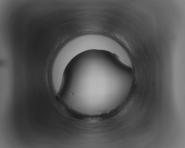 X0000100370495200806271447